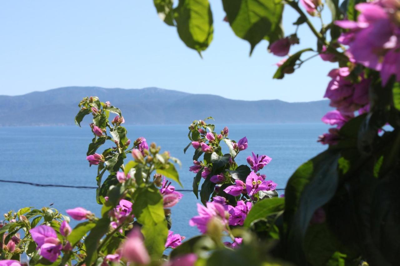 Apartments By The Sea Podaca, Makarska - 6745 外观 照片